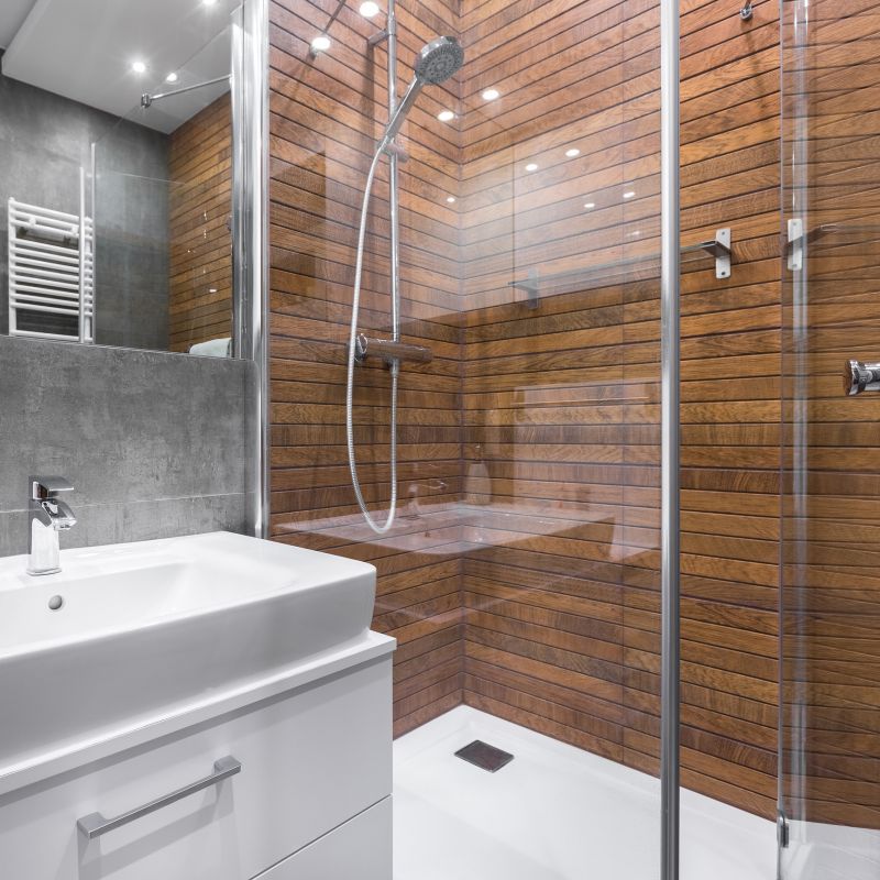 Contemporary Shower Space